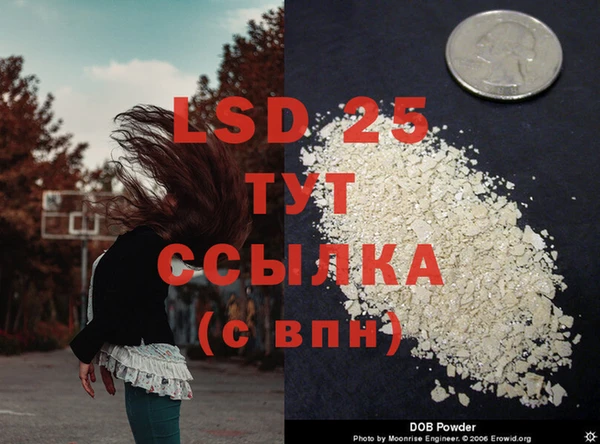 гидра Алзамай