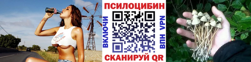 Галлюциногенные грибы мухоморы Чишмы