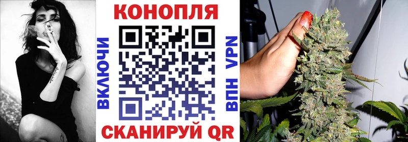 Бошки марихуана Amnesia  Чишмы 